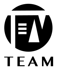 TEAM Logo
